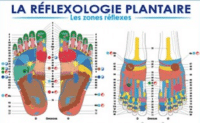 Planche Exemple Reflexologie Plantaire Zones réflexes reflexologie plantaire